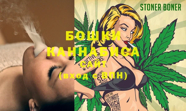 молекула духа Бугульма