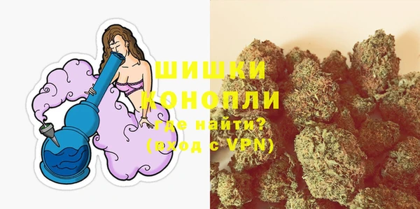 молекула духа Бугульма