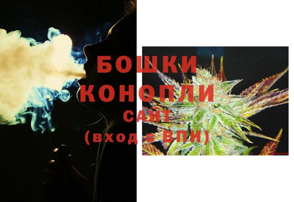 молекула духа Бугульма