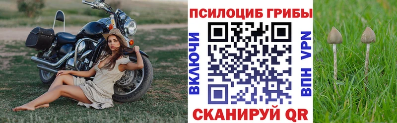 Псилоцибиновые грибы прущие грибы  как найти   мориарти телеграм  Новокубанск 